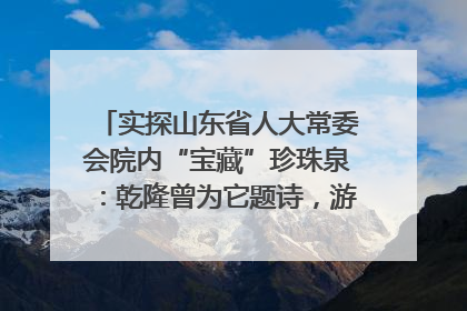 实探山东省人大常委会院内“宝藏”珍珠泉：乾隆曾为它题诗，游客无需预约免费游览